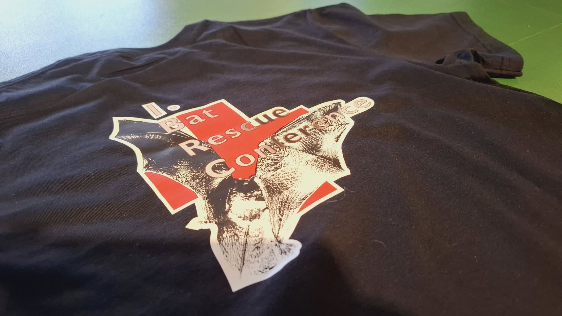 A Bakonyi Denevérvédelmi Alapítvány legújabb logózott pólója.