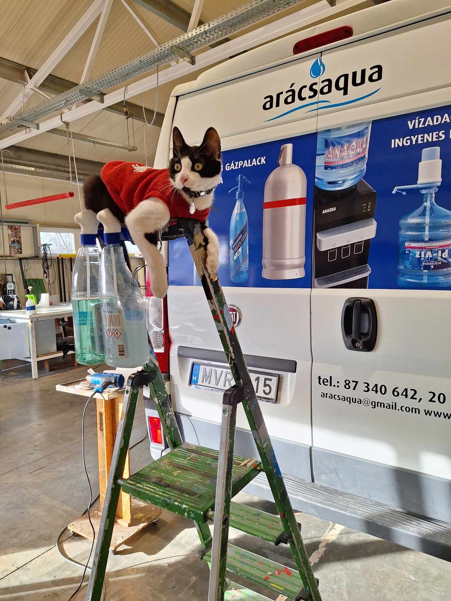 Mindenki dolgozik! :) 