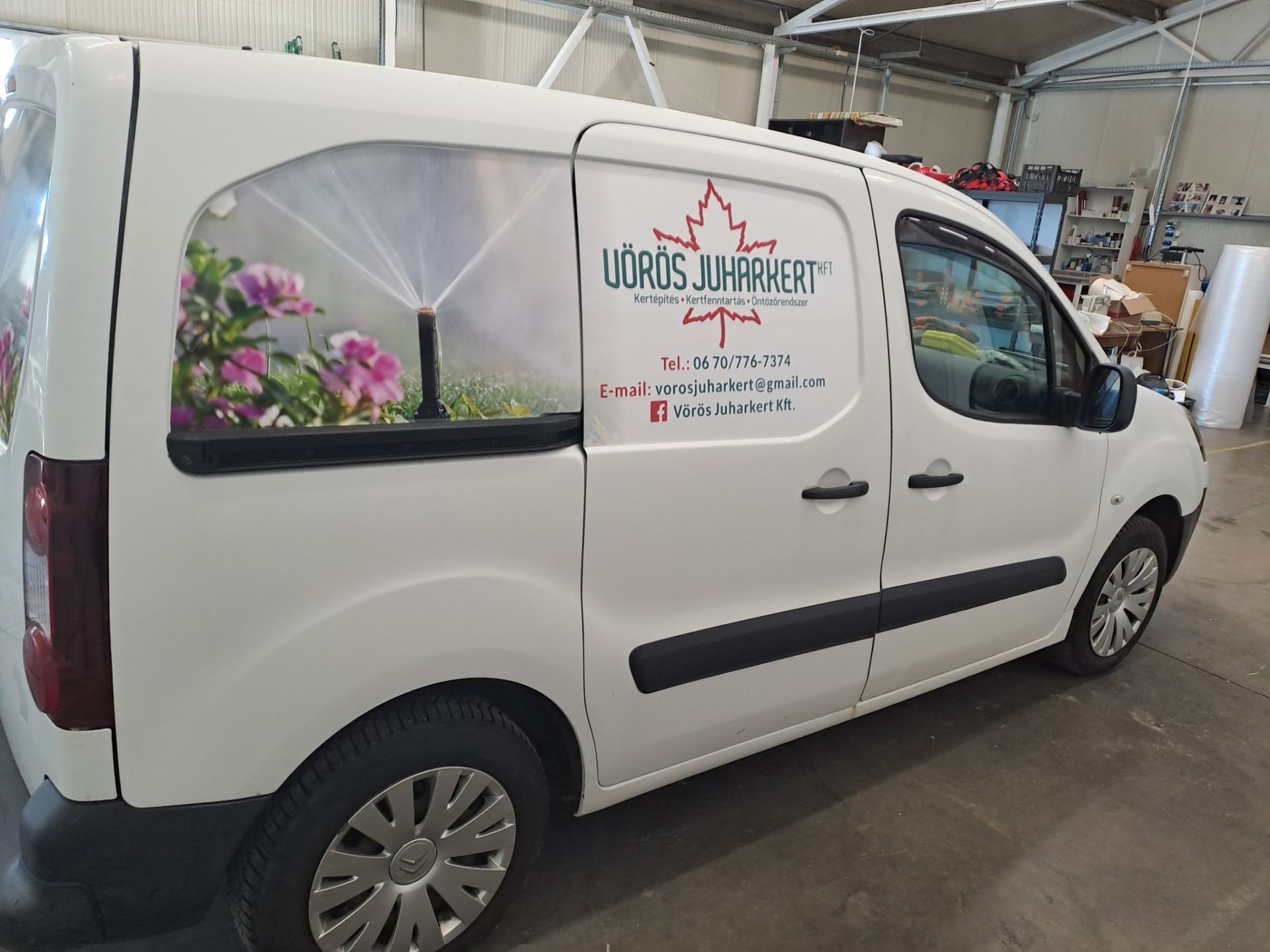 Vörös Juharkert Design